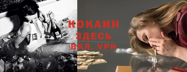 трава Новозыбков
