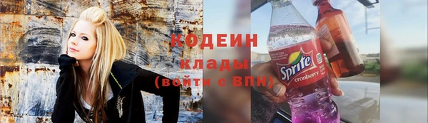 трава Новозыбков