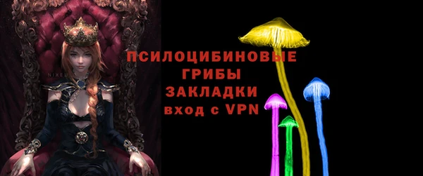 трава Новозыбков