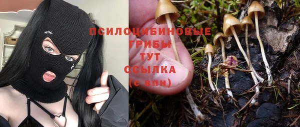 таблы Нязепетровск