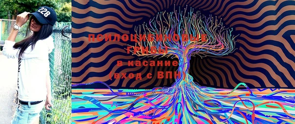 jwh Новодвинск