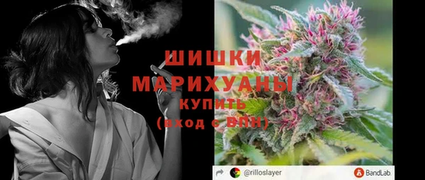 трава Новозыбков