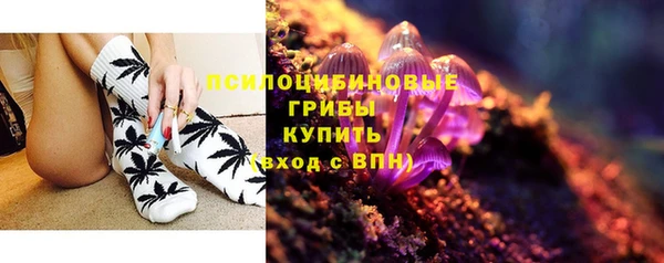 MESCALINE Няндома
